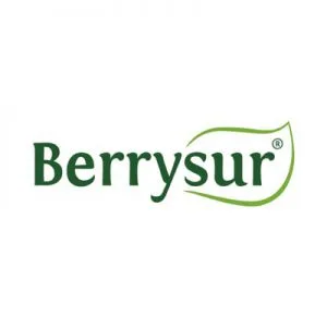 Logotipo de Berrysur