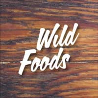 Logotipo de Wild Protein