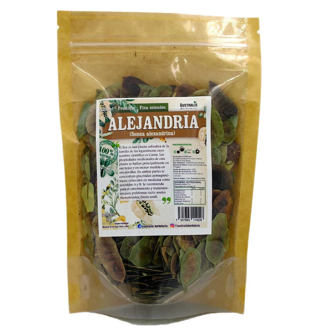 Alejandria en Hoja 60 grs