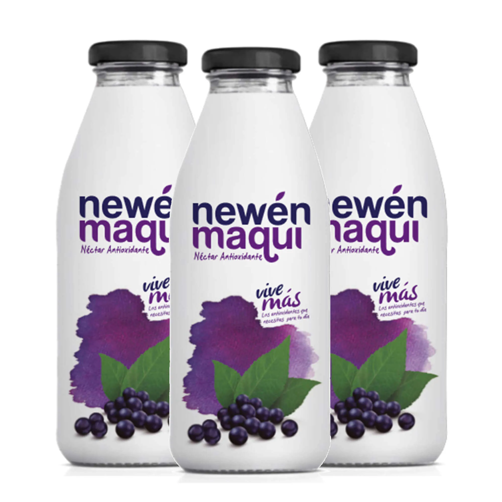 Jugo de Maqui 250 cc